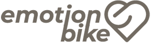 Ebike